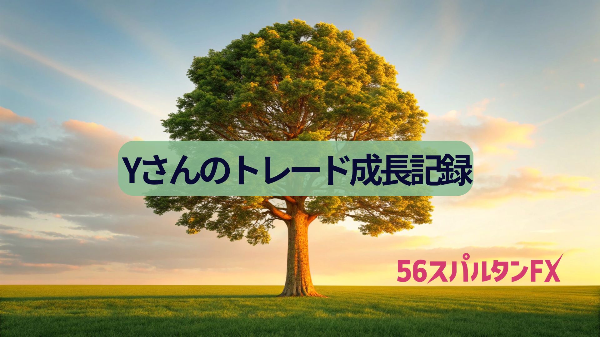 Yさんトレード成長記録